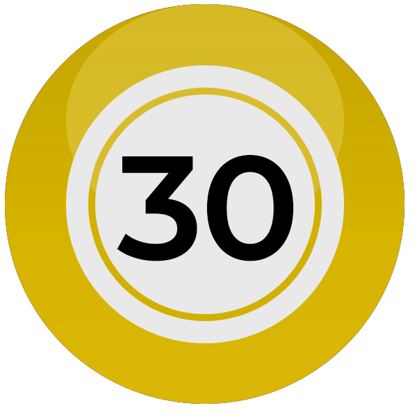 Bingo 30